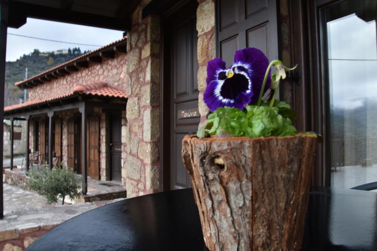 Paliokastro Guesthouse Kato Sinikia Trikalon Exterior foto